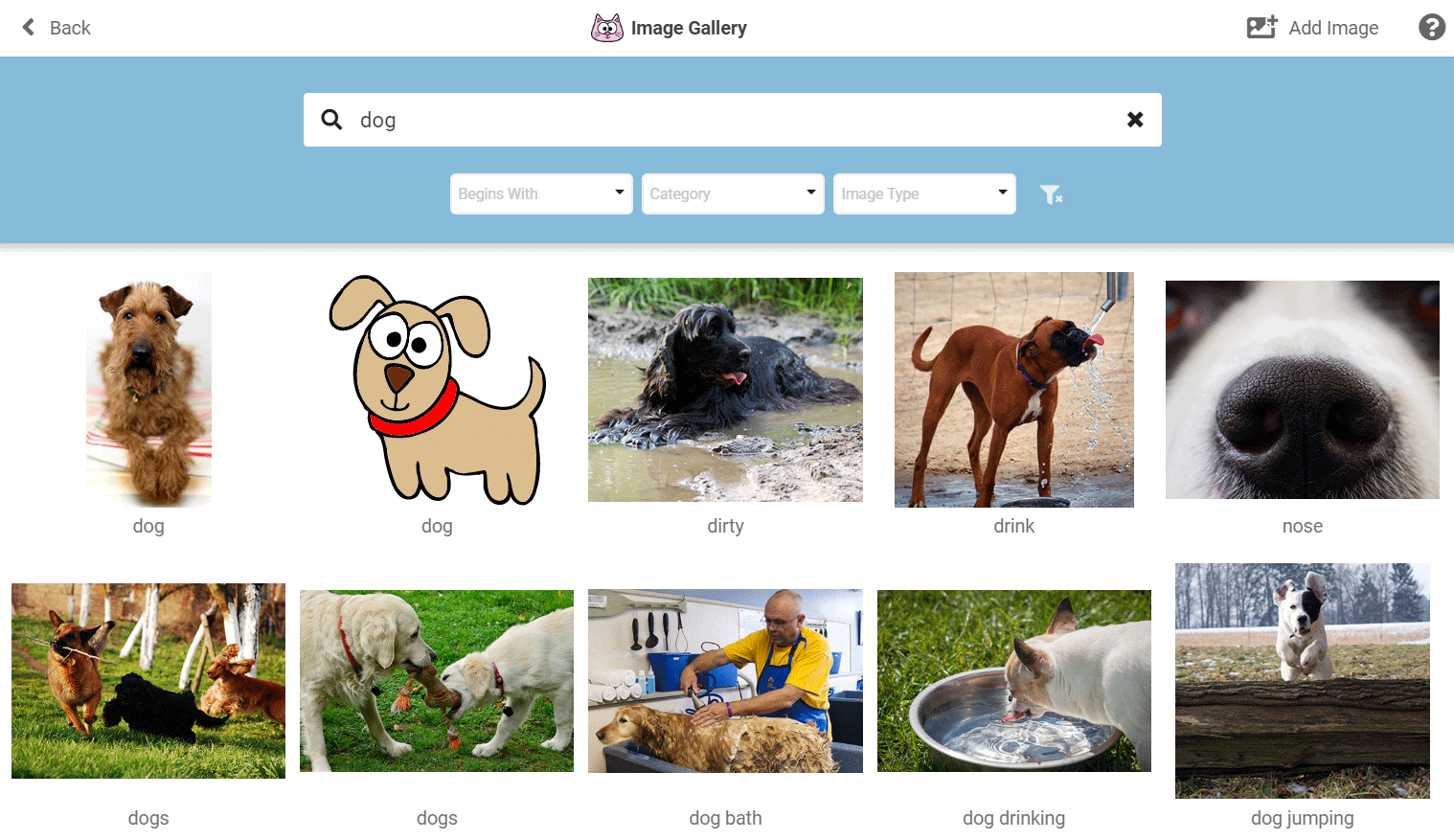 create-questions-multiple-choice-choose-image-dog.gif